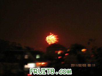 IMG_0217.JPG