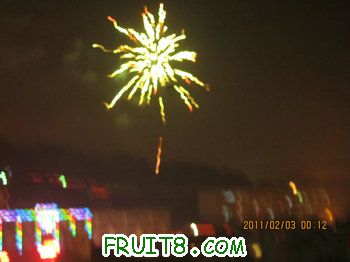 IMG_0219.JPG