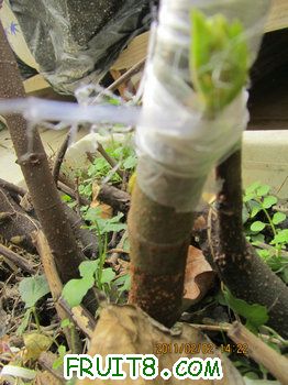 IMG_0022.JPG