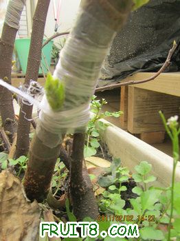 IMG_0023.JPG