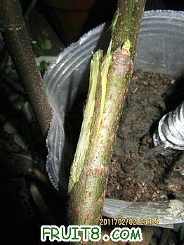 IMG_0131.JPG