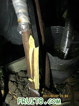 IMG_0130.JPG