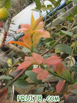 IMG_9864.JPG