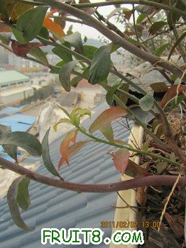 IMG_9866.JPG