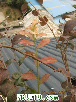 IMG_9867.JPG