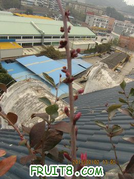 IMG_9869.JPG