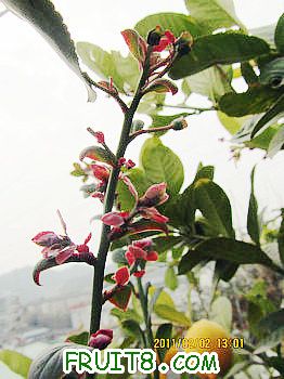 IMG_9874.JPG