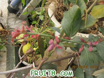 IMG_9877.JPG