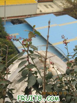 IMG_9907.JPG