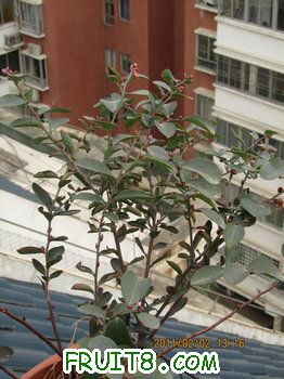 IMG_9911.JPG