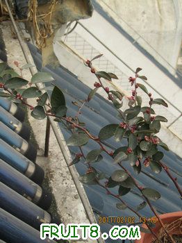 IMG_9912.JPG