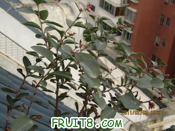 IMG_9915.JPG