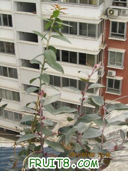 IMG_9917.JPG