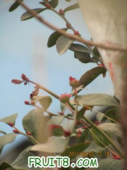IMG_9918.JPG