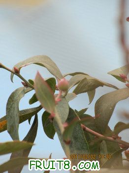 IMG_9921.JPG