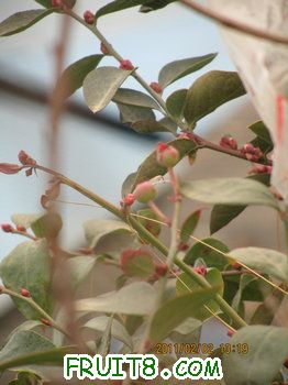 IMG_9919.JPG