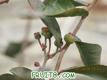 IMG_9924.JPG