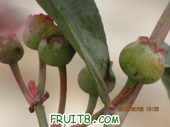 IMG_9929.JPG