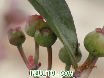 IMG_9928.JPG