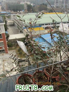 IMG_9930.JPG