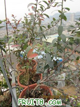 IMG_9934.JPG