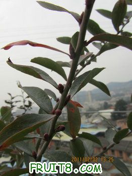 IMG_9935.JPG