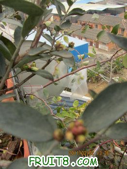 IMG_9937.JPG