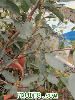 IMG_9940.JPG