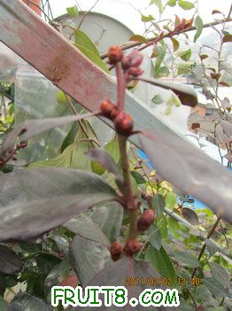 IMG_9831.JPG
