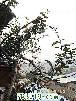 IMG_9958.JPG