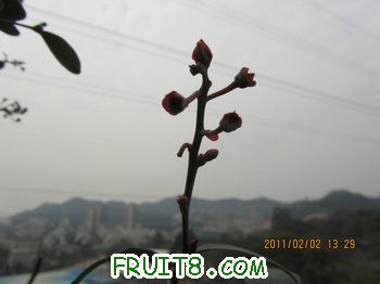 IMG_9960.JPG