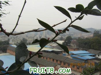 IMG_9959.JPG