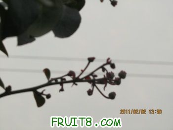 IMG_9962.JPG