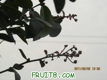IMG_9963.JPG
