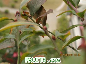 IMG_9974.JPG