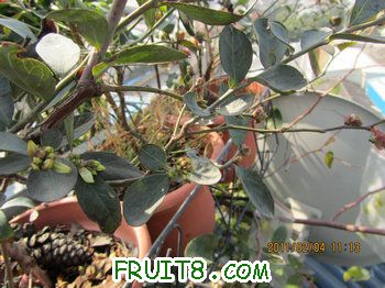 IMG_0316.JPG