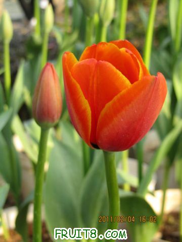 IMG_0757.JPG