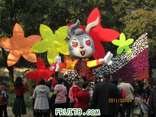 IMG_0762.JPG