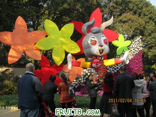 IMG_0763.JPG
