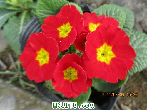 IMG_0632.JPG