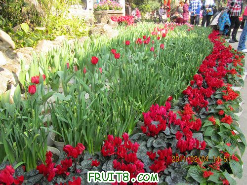 IMG_0458.JPG