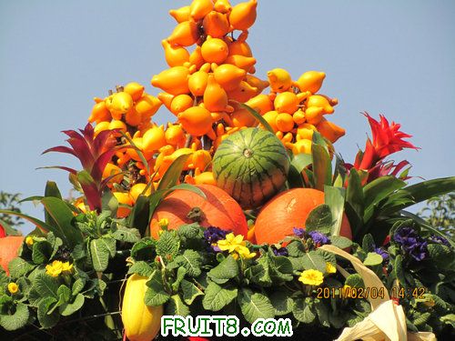 IMG_0415.JPG