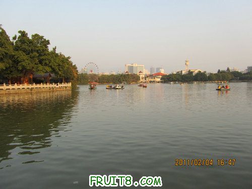 IMG_0837.JPG
