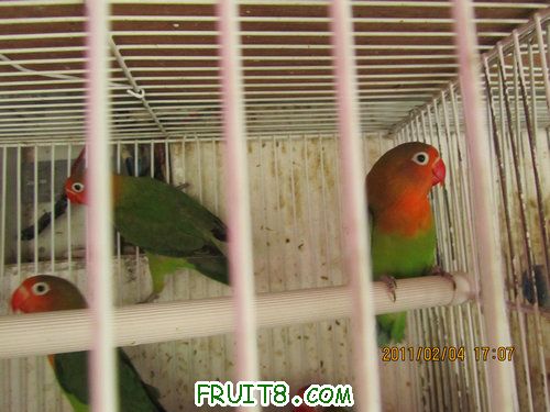 IMG_0923.JPG