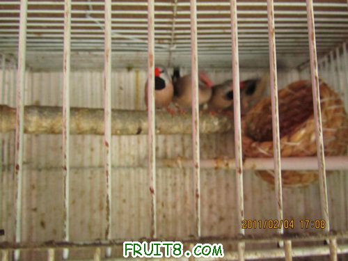 IMG_0928.JPG