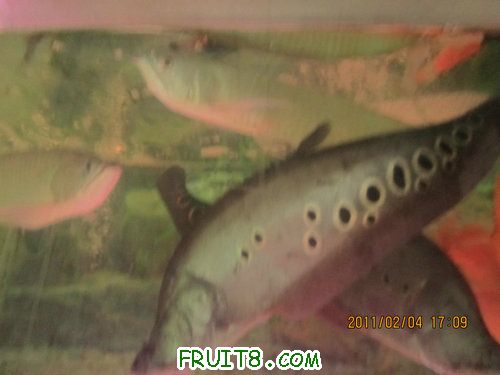 IMG_0937.JPG