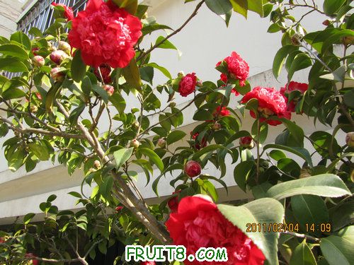 IMG_0368.JPG