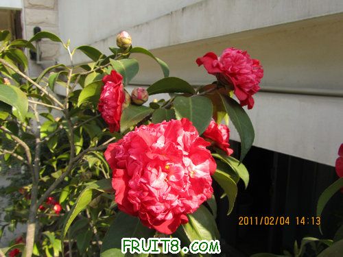 IMG_0391.JPG