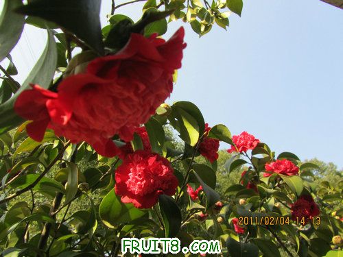 IMG_0388.JPG