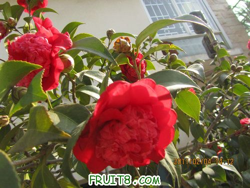 IMG_0385.JPG